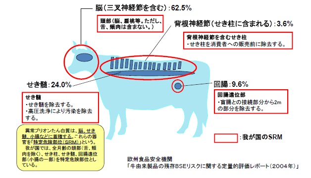 特定危険部位について