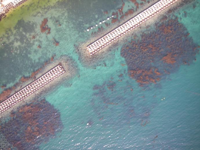 造成藻場（茶色の部分）の空中写真