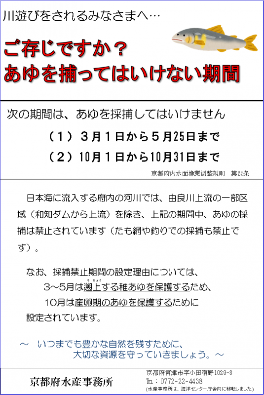 アユ採捕啓発看板