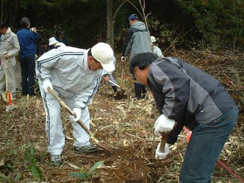 植樹活動1