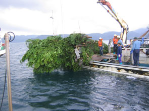 原木漁礁の沈設