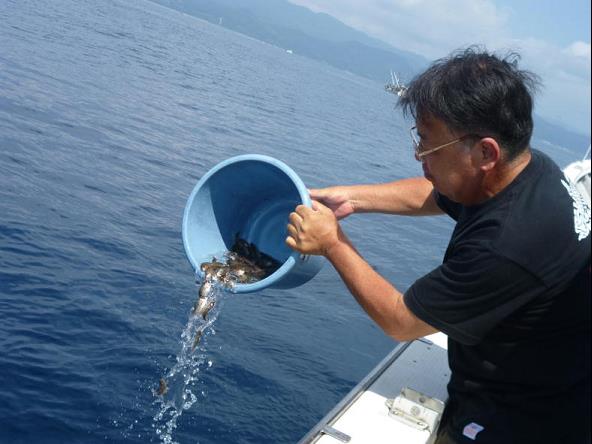 放流する様子