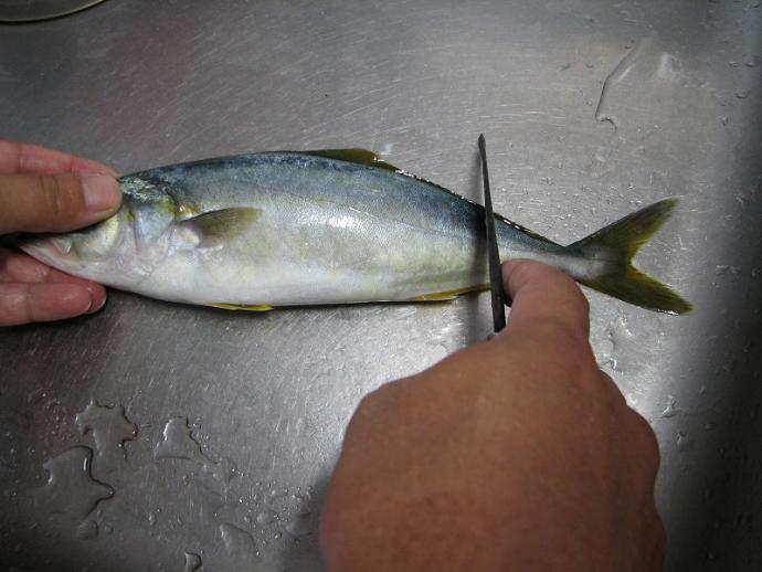 煮付けの作り方 ツバス ブリの幼魚 京都府ホームページ