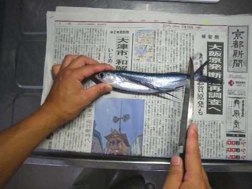 新聞紙の上で作業する