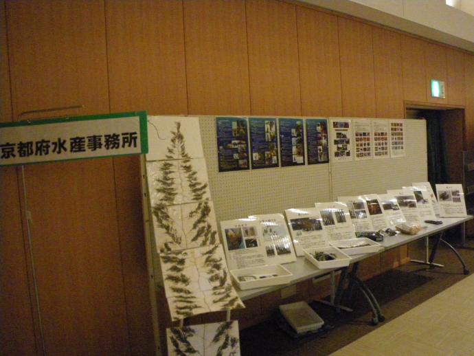 展示内容