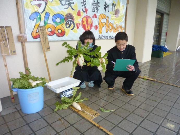 計測風景