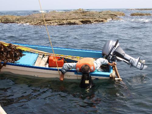 採介藻漁業の様子