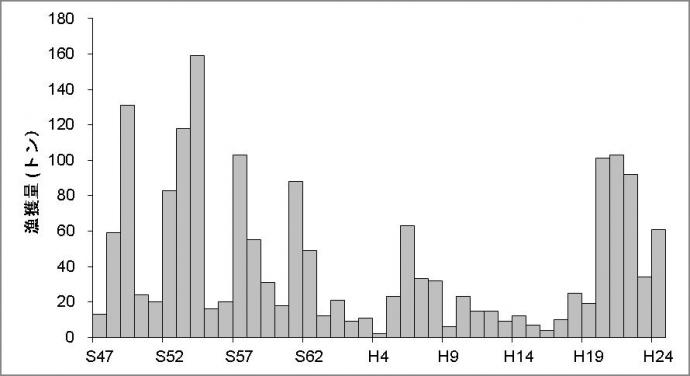 京都府のクロマグロ漁獲量の推移（農林水産統計）