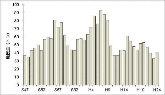 京都府のヒラメ漁獲量の推移（農林水産統計）