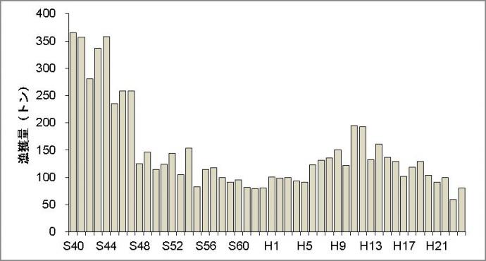 京都府のズワイガニ漁獲量の推移（農林水産統計）