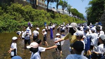 特定非営利活動法人ビオトープネットワーク京都葛野小学校