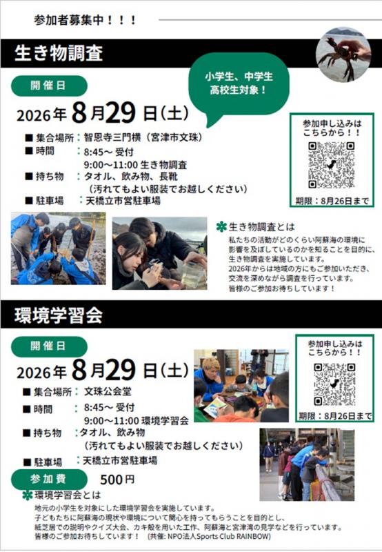 チラシ裏