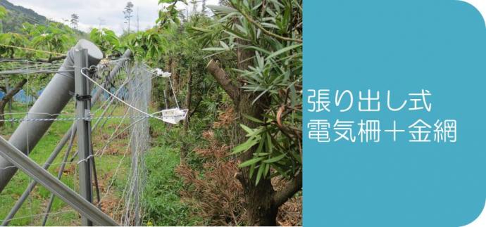 金網柵の外側に張り出す電気柵一段