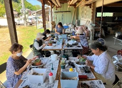 多肉植物の寄せ植えを行う会員