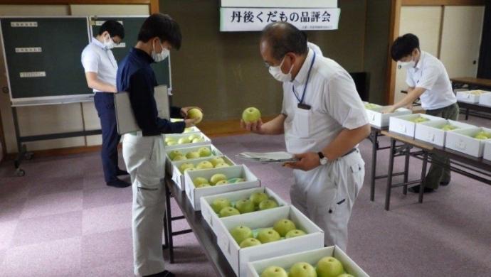 審査員が出品されたナシを審査