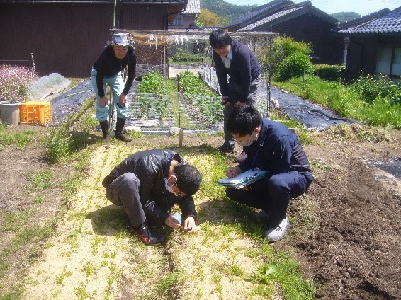 省力化試験の調査中の様子