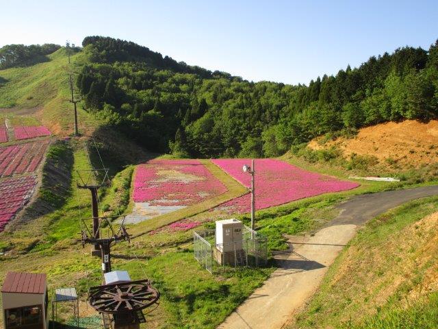 大鼓山線の春