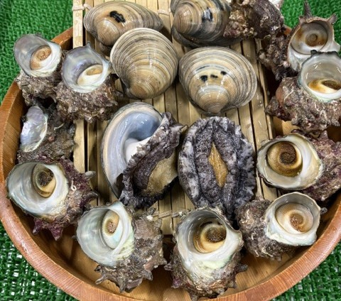丹後ひもの屋浜焼き