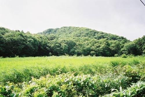 大フケ湿原（宮津市上世屋）