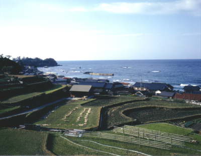 袖志の棚田と日本海