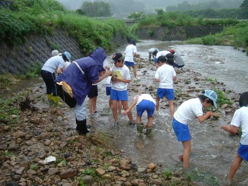 （写真）大手川自然博物館