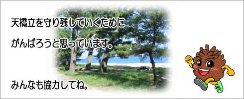 天橋立を守り残していくためにがんばろうと思います。みんなも協力してね。