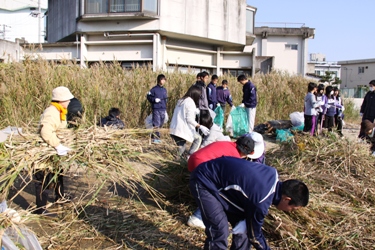 湊橋下流でのクリーンアップの作業の様子