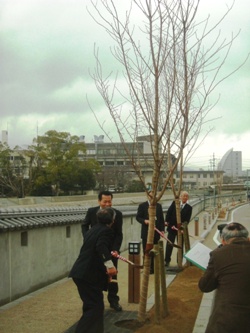 宮津市長らによる植樹