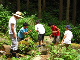 生き物調査中の児童たち4