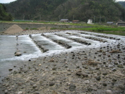 宇川階段式魚道