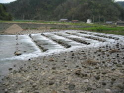 宇川階段式魚道