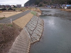 筒川の粗朶（そだ）法枠の写真です