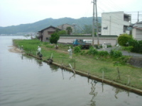 大手川河川敷の清掃状況写真です。