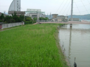 総合学習予定箇所の写真です。