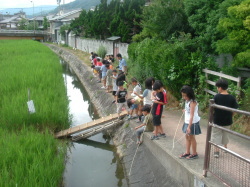 カニなどを釣っている様子