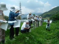 大手川探検隊の探索状況（その2）