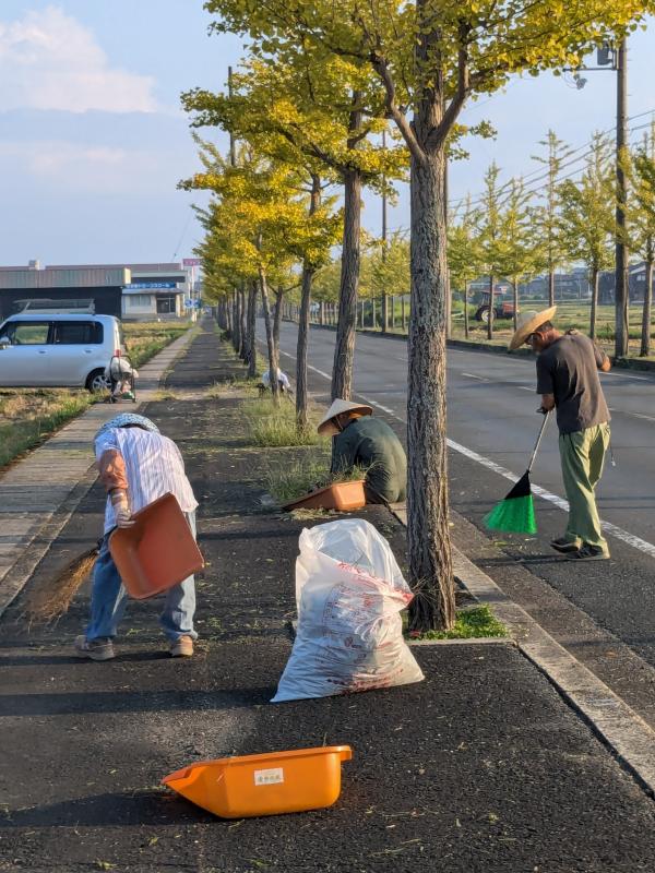 青丹の風