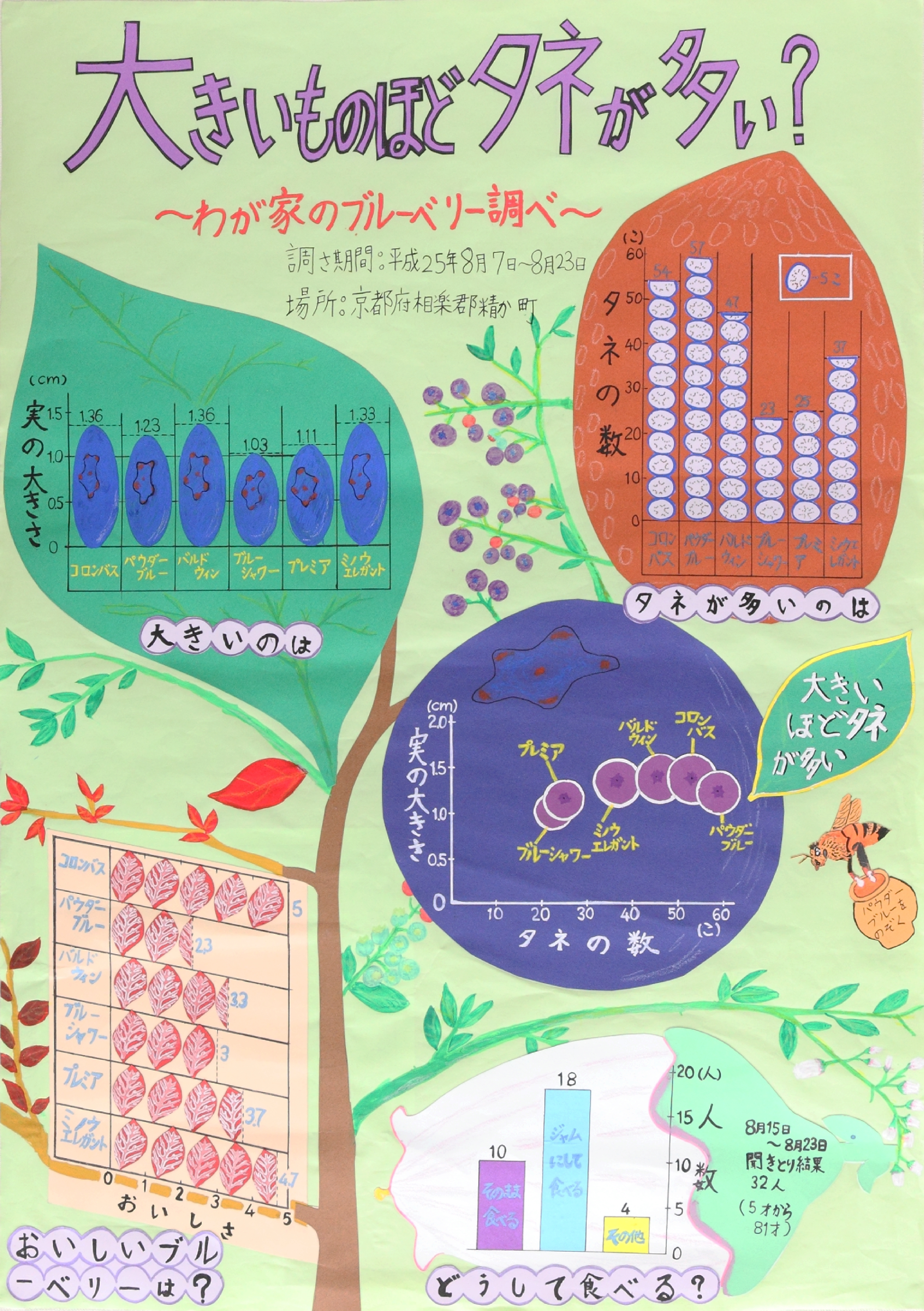 大きいものほどタネが多い?〜わが家のブルーベリー調べ〜
