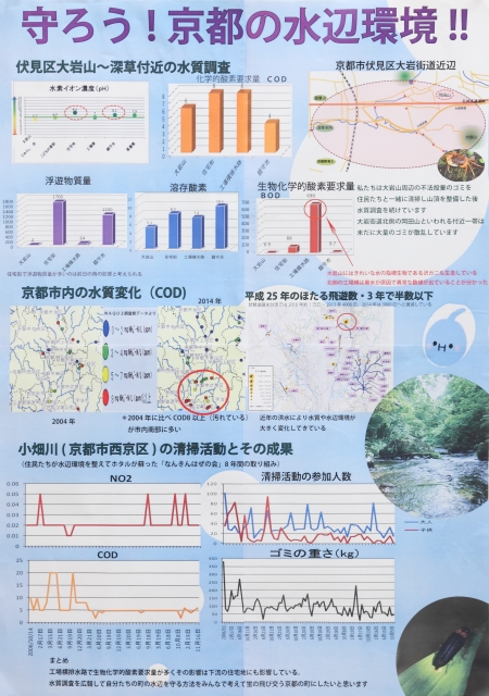 守ろう!京都の水辺環境!!
