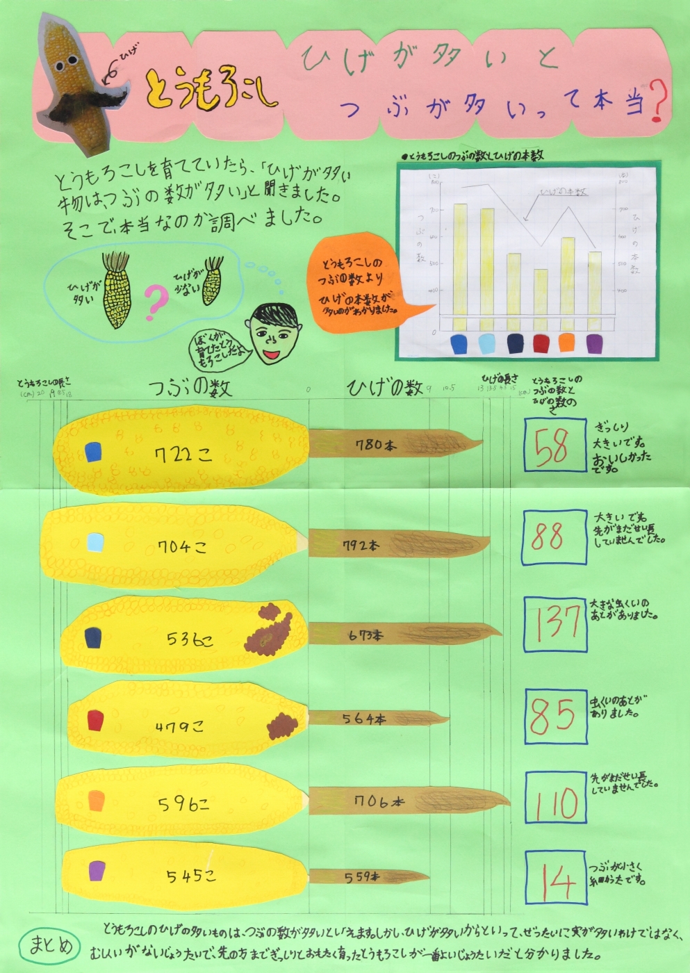 とうもろこし ひげが多いとつぶが多いって本当?