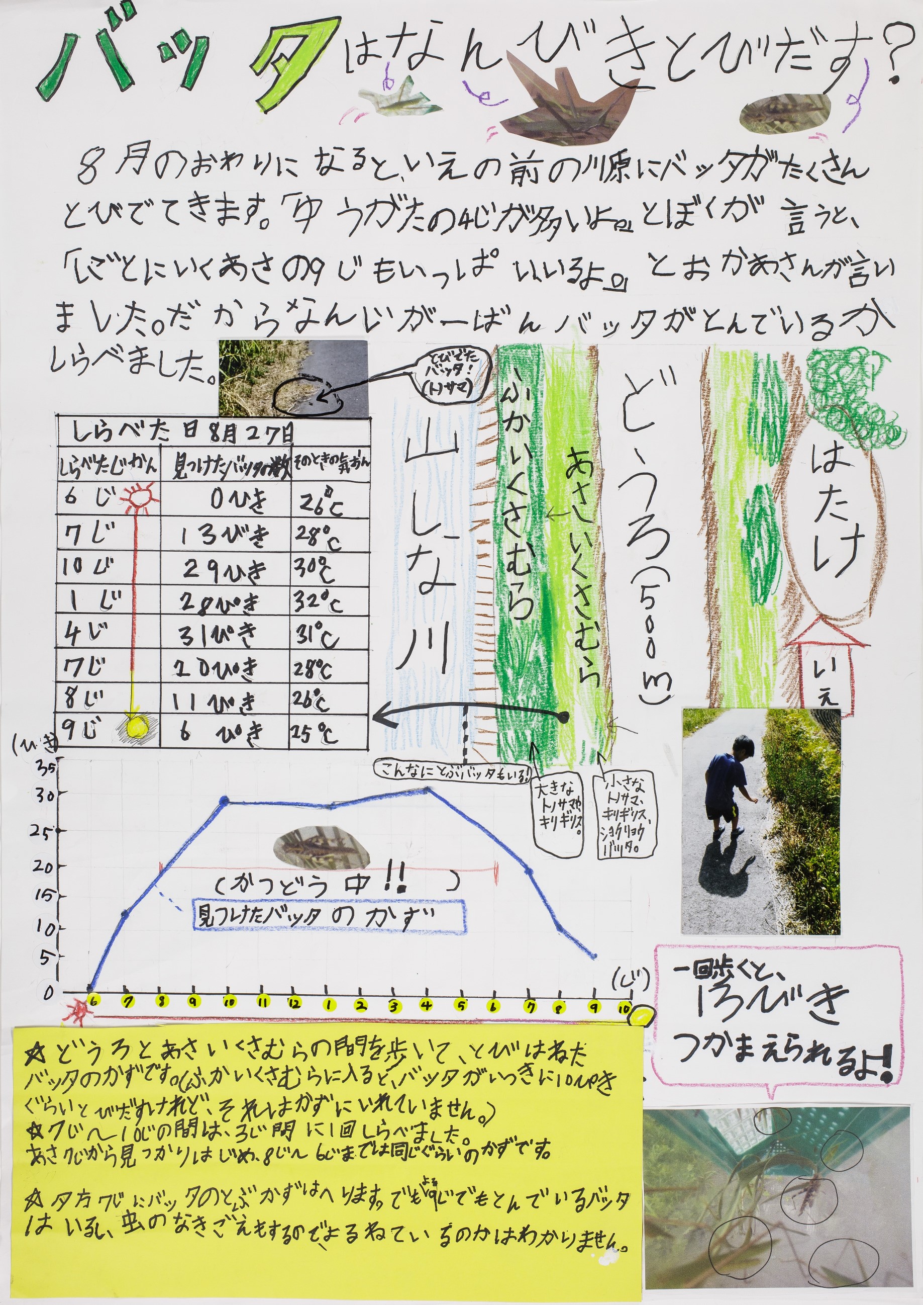 バッタはなんびきとびだす?