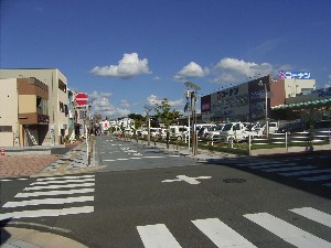 駅南東西線