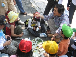 天王山森の学校「夏」