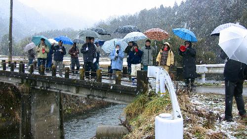 下大久保地区内での景観ウォッチングの様子1