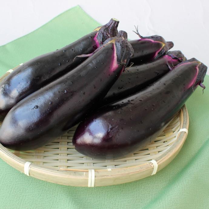 ごちそう　やましろ特産品　なす