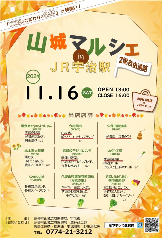061116