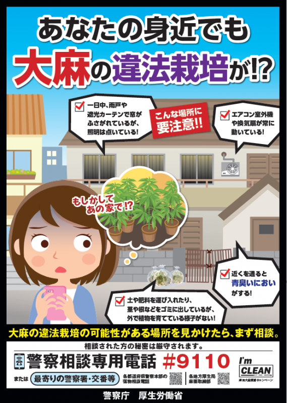 大麻違法栽培
