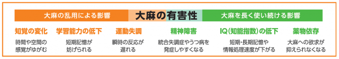 taimanoyuugaisei
