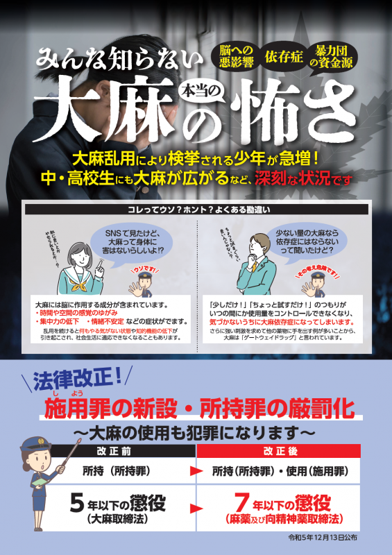 taimanokowasa1