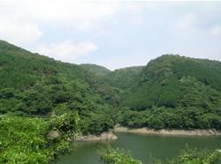 森林公園の遠景